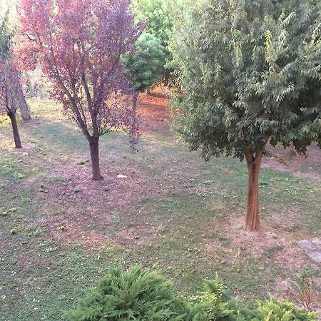 Bed & Breakfast Da Eliana Molinella Exterior foto