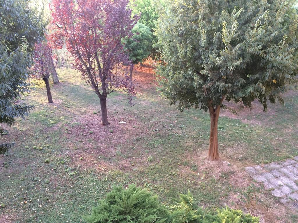Bed & Breakfast Da Eliana Molinella Exterior foto