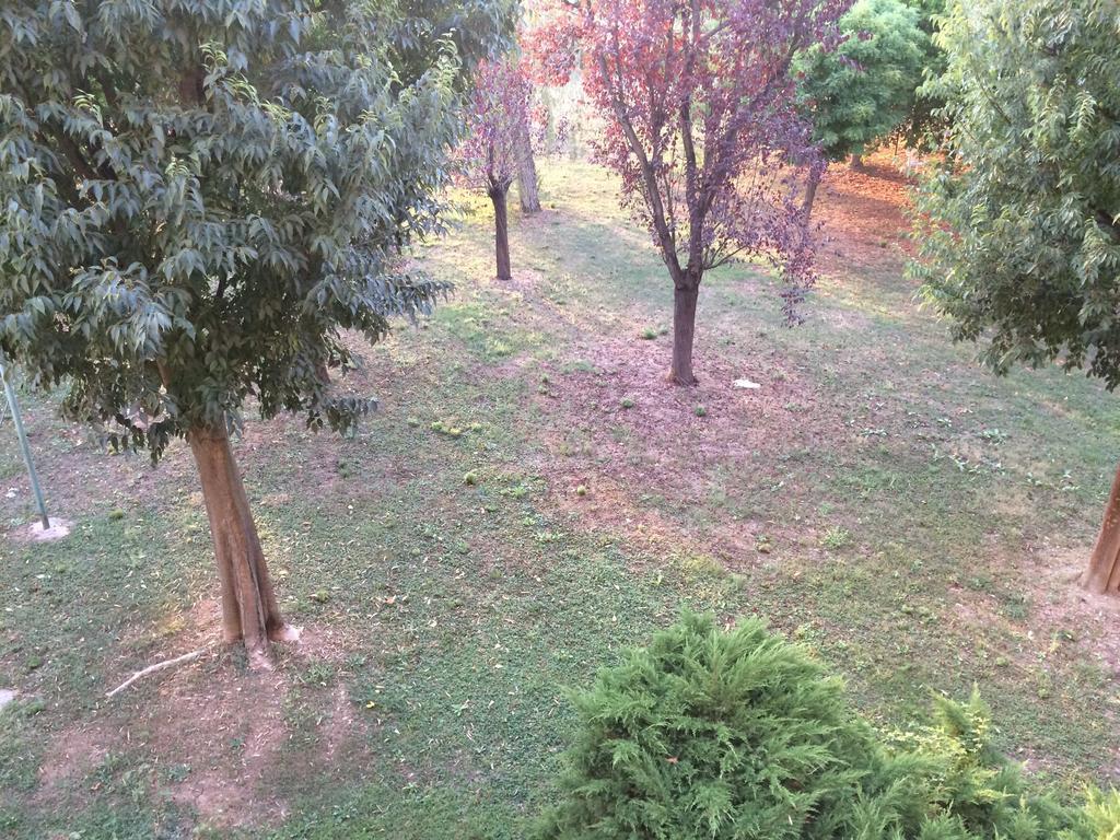 Bed & Breakfast Da Eliana Molinella Exterior foto